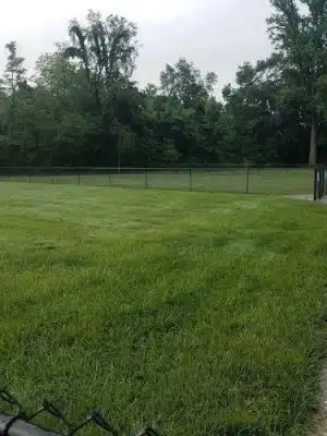 Tillie Memorial Dog Park - Berea, KY