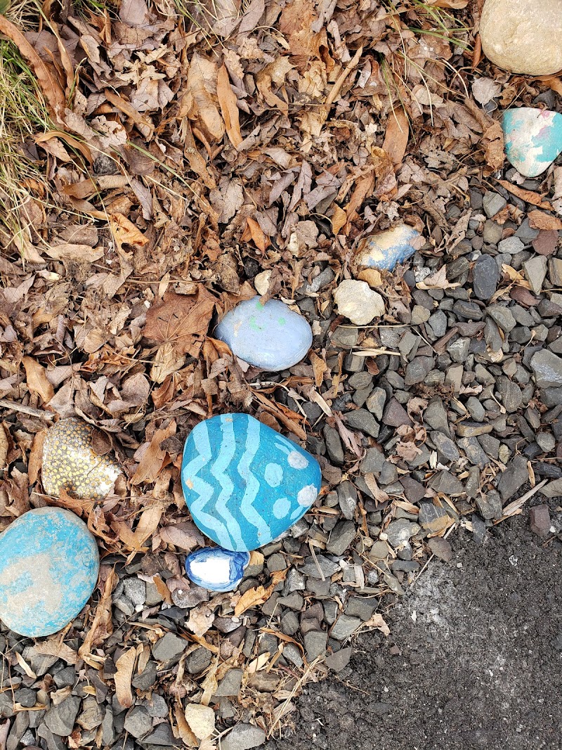 Berlin Park Trails - Berlin, NJ