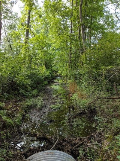 Berlin Park Trails - Berlin, NJ