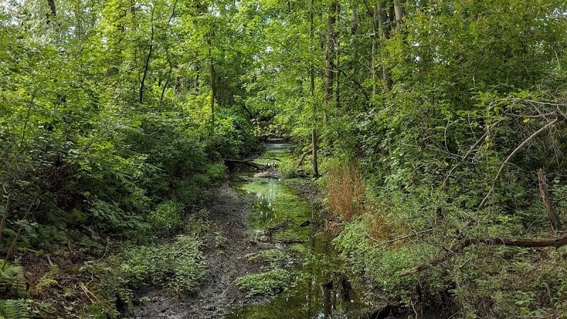 Berlin Park Trails - Berlin, NJ