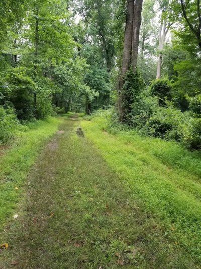 Berlin Park Trails - Berlin, NJ