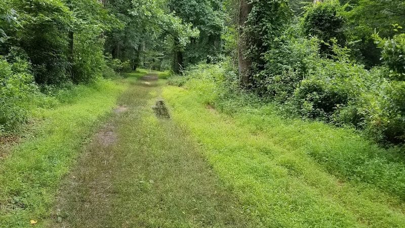 Berlin Park Trails - Berlin, NJ
