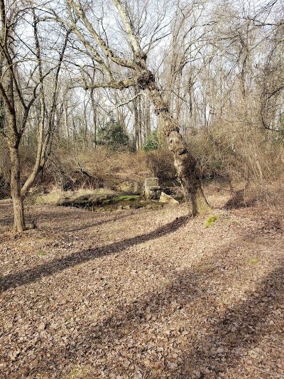 Berlin Park Trails - Berlin, NJ