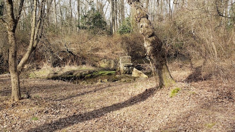 Berlin Park Trails - Berlin, NJ