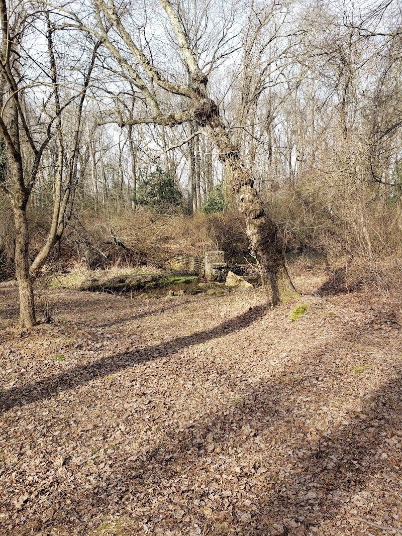 Berlin Park Trails - Berlin, NJ