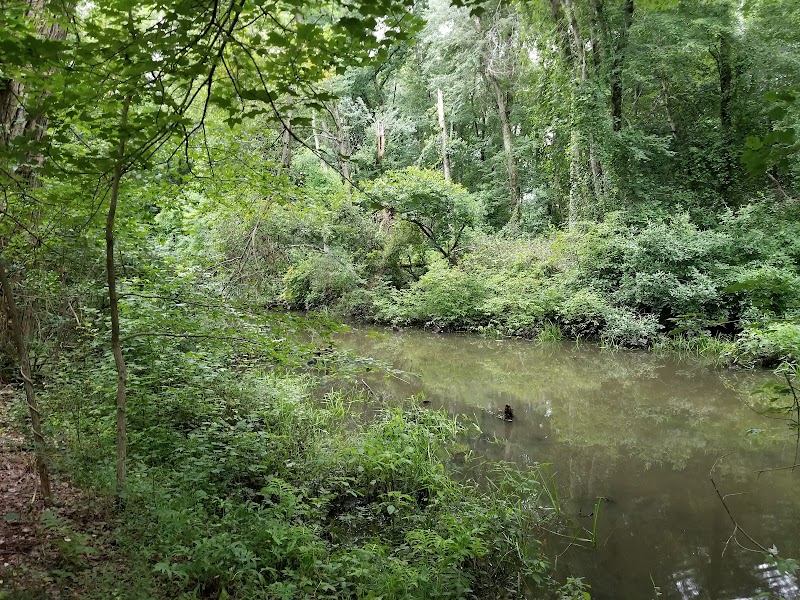 Berlin Park Trails - Berlin, NJ