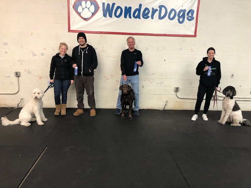 WonderDogs Canine Training & Activity Center - Berlin Township, NJ