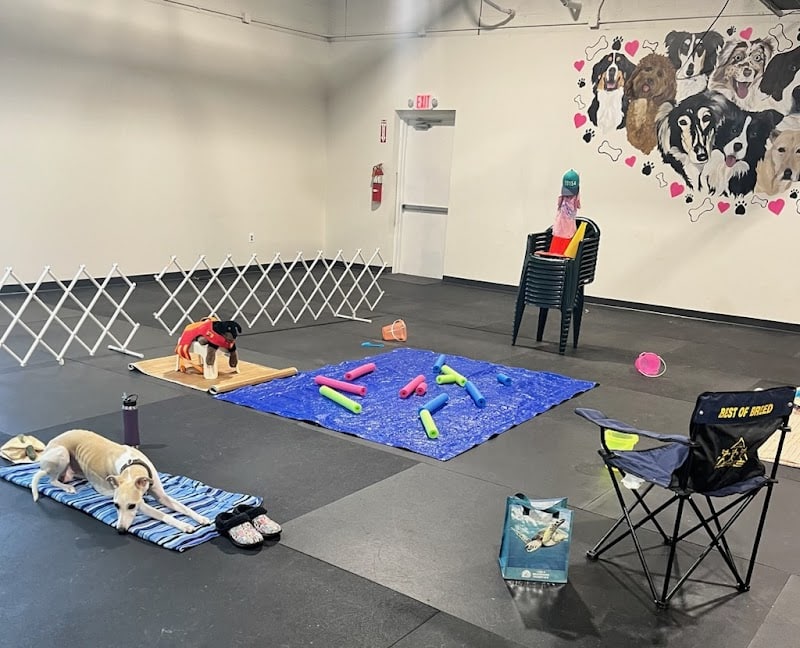 WonderDogs Canine Training & Activity Center - Berlin Township, NJ