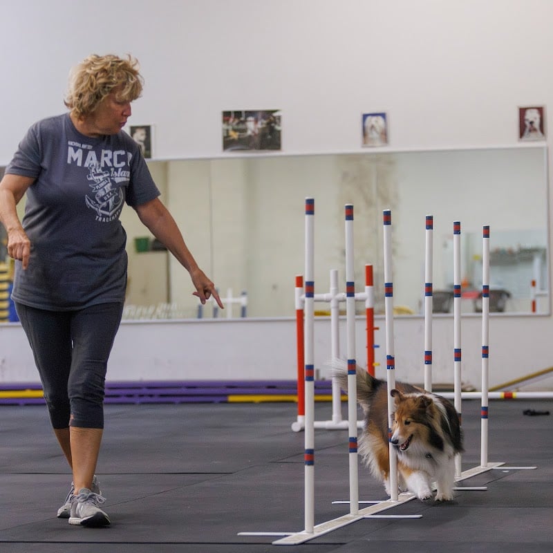 WonderDogs Canine Training & Activity Center - Berlin Township, NJ