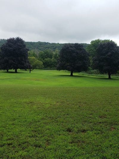 Meckauer Park - Bethel, CT