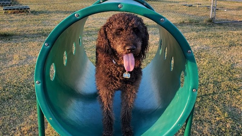 OnCue Truck Stop And Dog Park - Billings, OK
