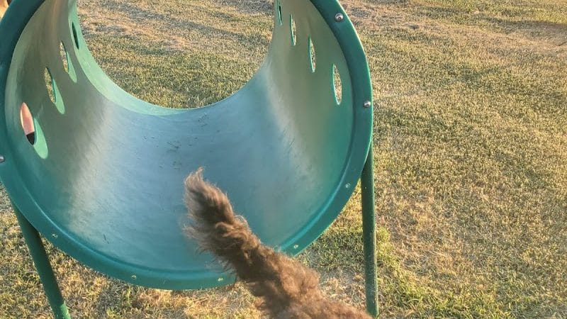 OnCue Truck Stop And Dog Park - Billings, OK
