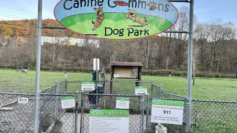 Canine Commons Dog Park - Binghamton, NY