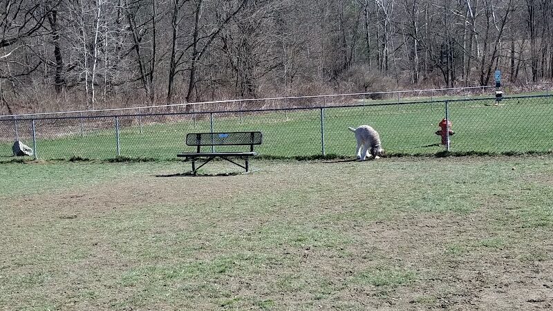 Canine Commons Dog Park - Binghamton, NY