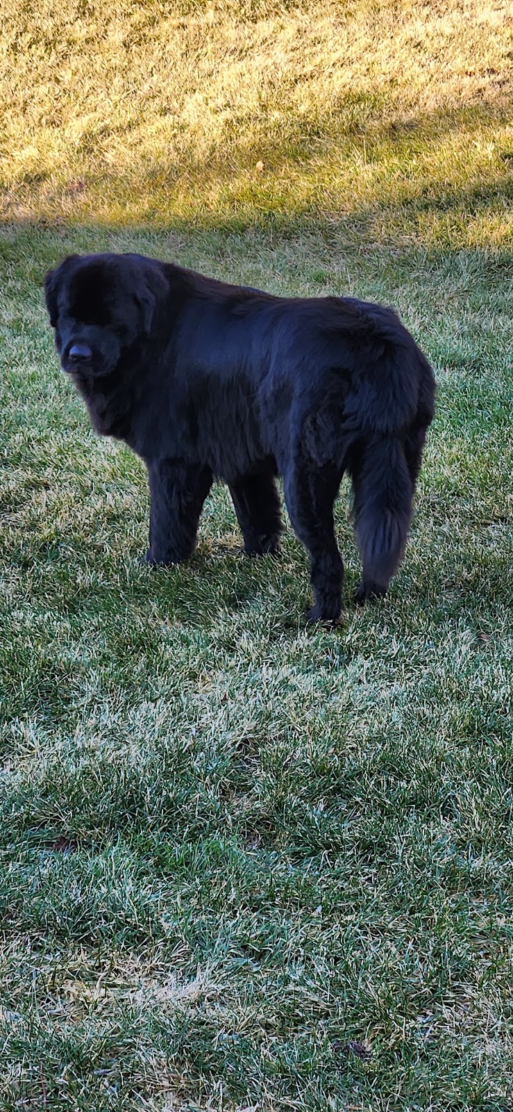 Hope's Kennels Inc - Blairstown, NJ
