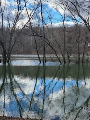Kelley Park
