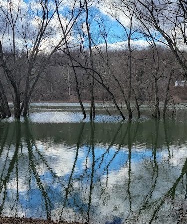 Kelley Park