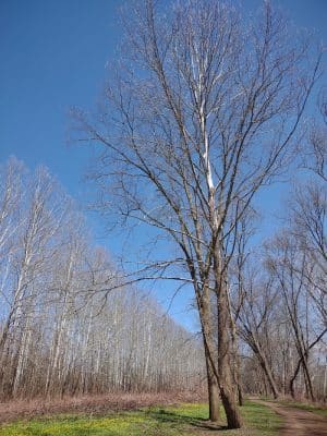 Kelley Park