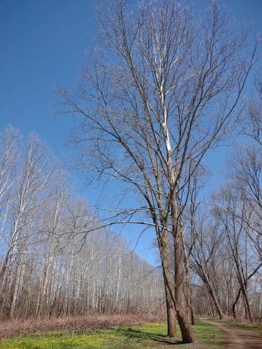Kelley Park