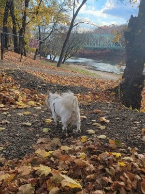 Kelley Park