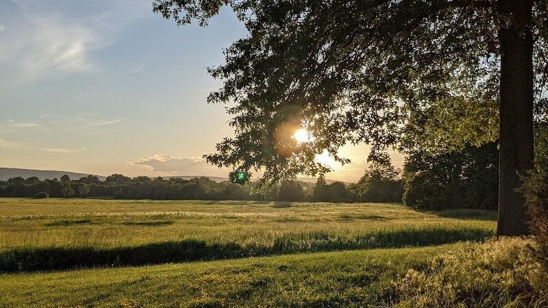 Samuel Wheeler Reed Park - Bloomfield, CT