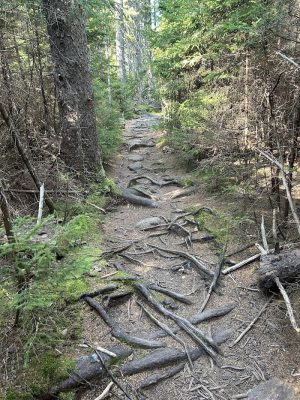 Becton Trail - Blue Hill Heritage Trust