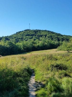 Blue Hill Mountain Hayes & Service Trail- Blue Hill Heritage Trust