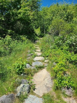 Blue Hill Mountain Hayes & Service Trail- Blue Hill Heritage Trust