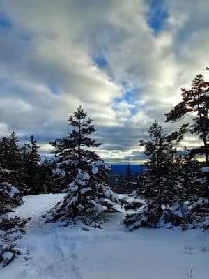 Blue Hill Mountain Hayes & Service Trail- Blue Hill Heritage Trust