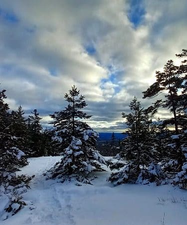 Blue Hill Mountain Hayes & Service Trail- Blue Hill Heritage Trust