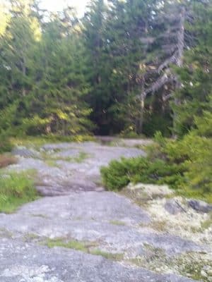 Blue Hill Mountain Hayes & Service Trail- Blue Hill Heritage Trust
