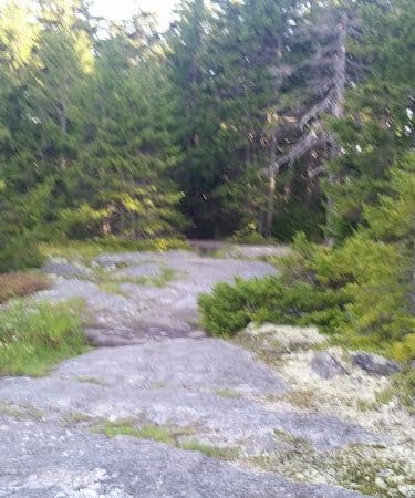 Blue Hill Mountain Hayes & Service Trail- Blue Hill Heritage Trust