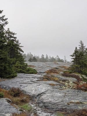 Blue Hill Mountain Hayes & Service Trail- Blue Hill Heritage Trust
