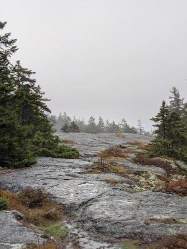 Blue Hill Mountain Hayes & Service Trail- Blue Hill Heritage Trust