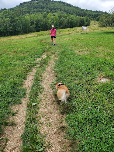 Blue Hill Mountain Hayes & Service Trail- Blue Hill Heritage Trust
