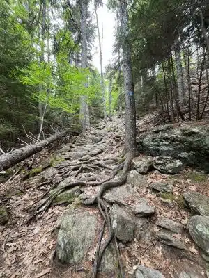 Blue Hill Mountain Osgood Trail- Blue Hill Heritage Trust