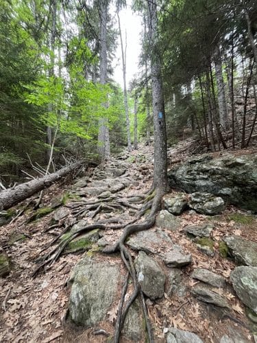 Blue Hill Mountain Osgood Trail- Blue Hill Heritage Trust