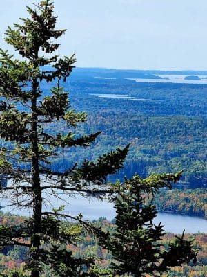 Blue Hill Mountain Osgood Trail- Blue Hill Heritage Trust