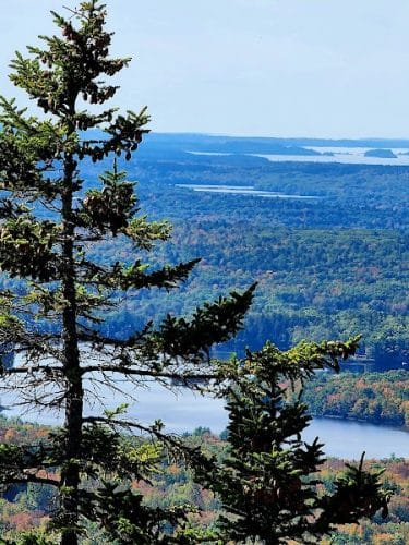 Blue Hill Mountain Osgood Trail- Blue Hill Heritage Trust