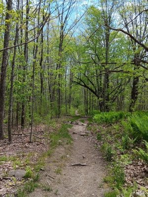 Blue Hill Mountain Osgood Trail- Blue Hill Heritage Trust