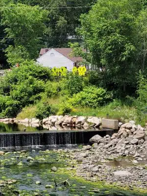 Horton Emerson Park