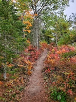 Kingdom Woods Conservation Area - Blue Hill Heritage Trust