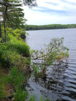 Kingdom Woods Conservation Area - Blue Hill Heritage Trust