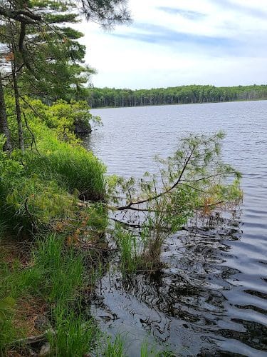 Kingdom Woods Conservation Area - Blue Hill Heritage Trust