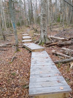 Parker Point/South St Trail - Blue Hill Heritage Trust