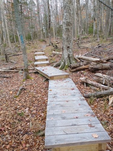 Parker Point/South St Trail - Blue Hill Heritage Trust