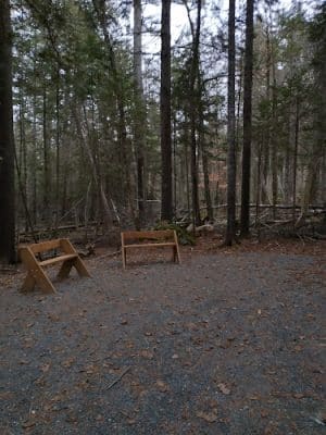 Parker Point/South St Trail - Blue Hill Heritage Trust
