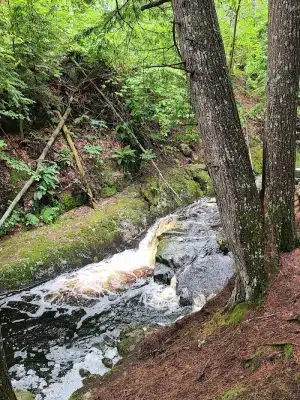 Peters Brook Trail - Blue Hill Heritage Trust