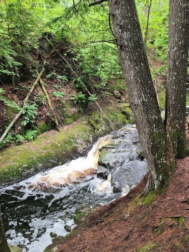 Peters Brook Trail - Blue Hill Heritage Trust