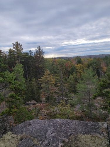 Peters Brook Trail - Blue Hill Heritage Trust
